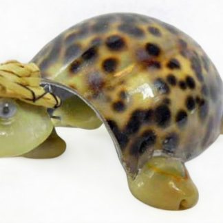 Shell Turtle Large