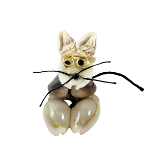 Shell Cat
