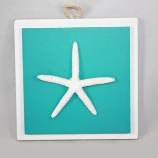 Starfish Plaque