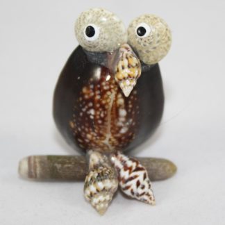 Shell Owl on Perch