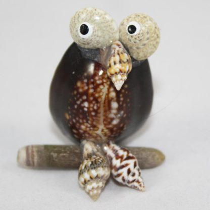 Shell Owl on Perch