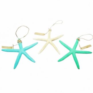 Multicolor Starfish 3pcs