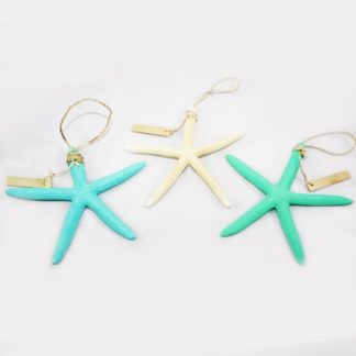 MultiColor Starfish