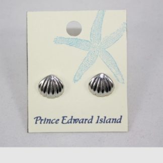 Silver Shell Earring