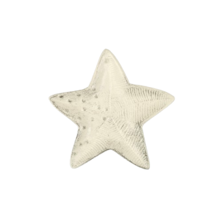 Cast Iron Starfish Plate