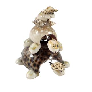3pc Shell Turtle
