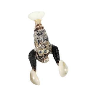 Shell Lobster