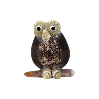 Shell Owl on Perch