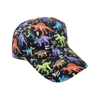 Kids Dinosaur Hat