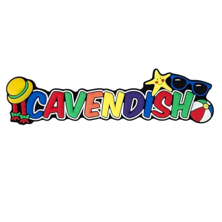 Cavendish Rubber Magnet